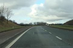 DSC02115_JPG